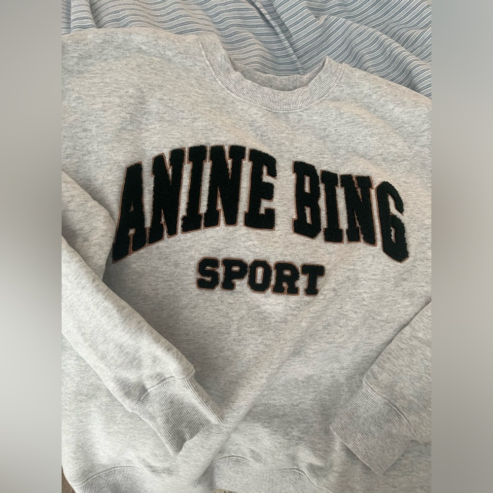 Anine bing sweatshirt
